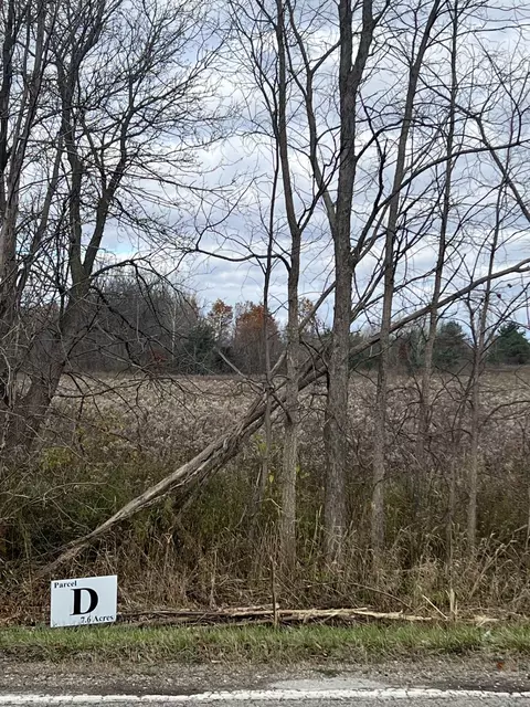 Vl Davis Lake Rd. Rd, Mayfield, MI 48446