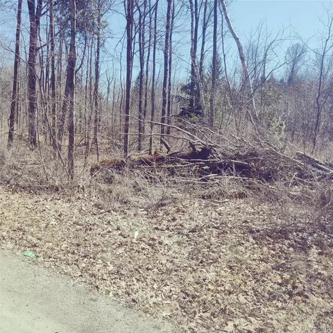 0 Schott Rd, Harbor Beach, MI 48441 photo 2