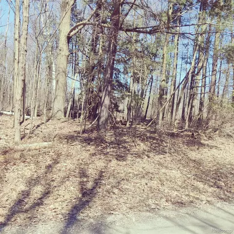 0 Schott Rd, Harbor Beach, MI 48441