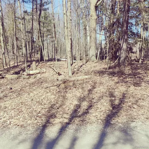 0 Schott Rd, Harbor Beach, MI 48441 photo 3