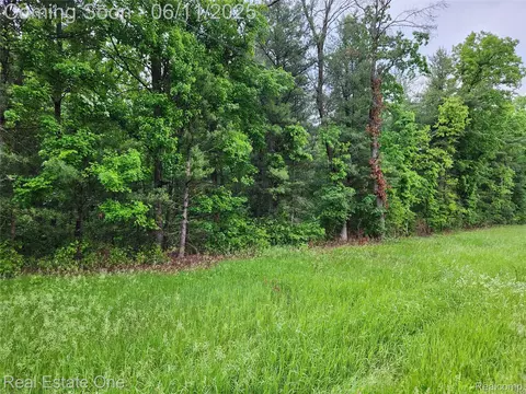 0000 W W Almy Rd, Reynolds, MI 49329