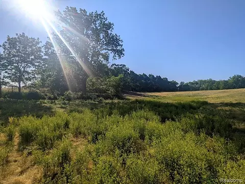 Parcel A - Rolston Road, Argentine, MI 48451