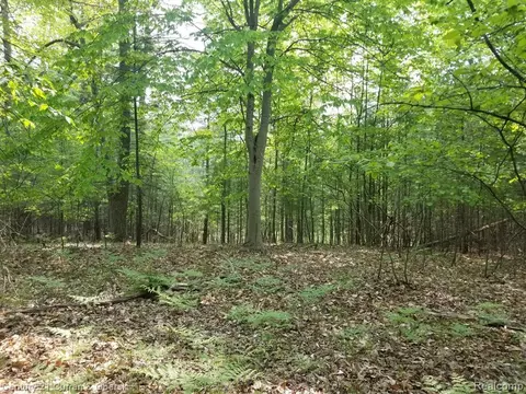 115 E Birmingham, Yates, MI 49642