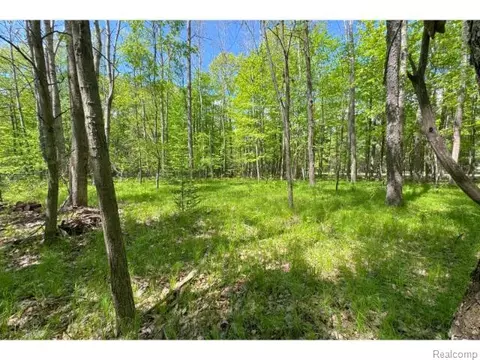 000 Birchwood Dr, Freeman, MI 48632