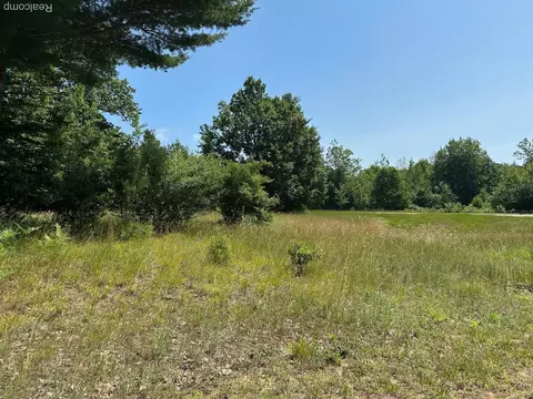 77 E Starlight Ridge Cir, Onekama, MI 49675