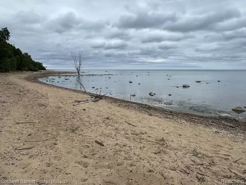 00 Lakeshore Rd, Forestville, MI 48434