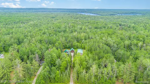 699 W Cherry Creek Rd, Big Creek, MI 48647