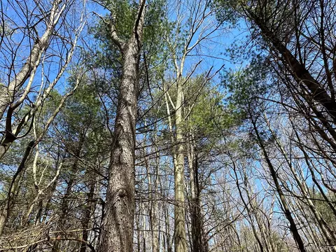 2 02 Acres Vl - Knights Bridge Rd, Addison, MI 48367