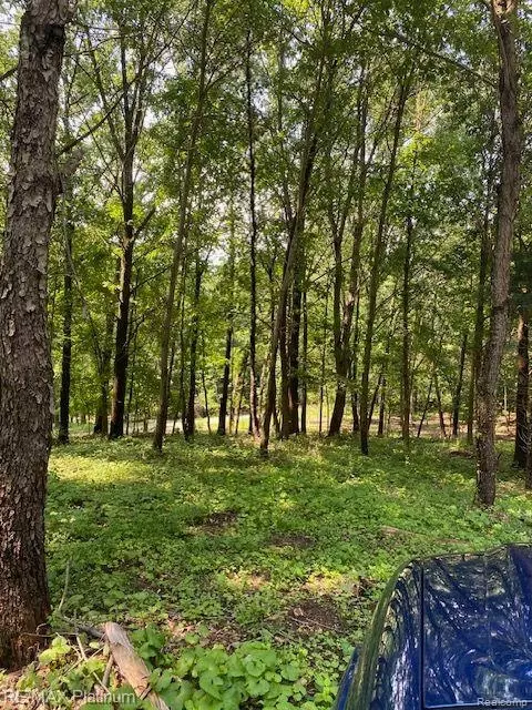 5 Sleaford-parcel 5 - 25 Acres Rd, Howell, MI 48843