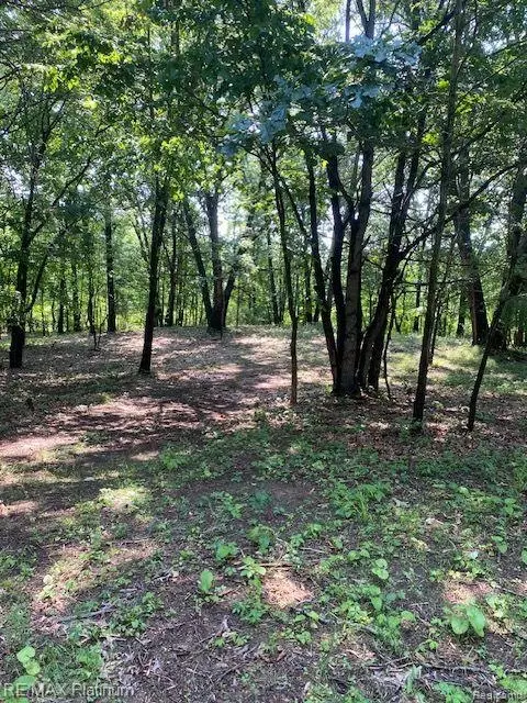 8 Sleaford-parcel 8 - 212 Acres Rd, Howell, MI 48843