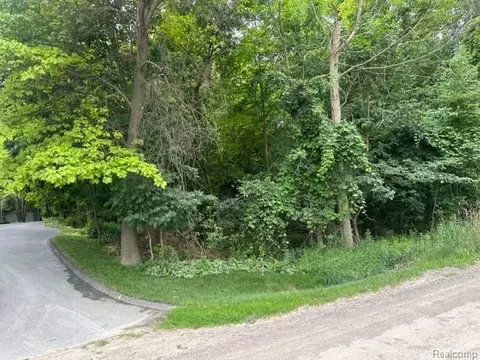 00 Mitchell Rd, Elba, MI 48455