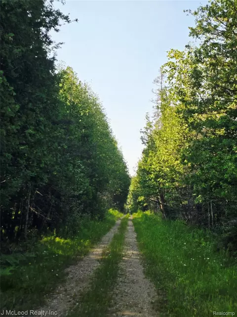 29240 S Aldrich Rd, Pickford, MI 49774