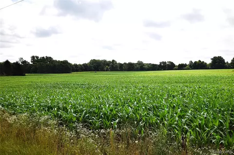 V/l N Irish Road, Forest, MI 48463