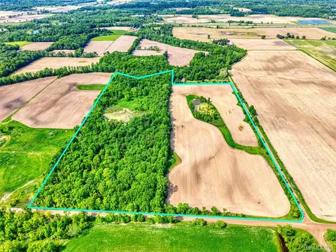 000 W Van Orden Rd, Handy, MI 48836