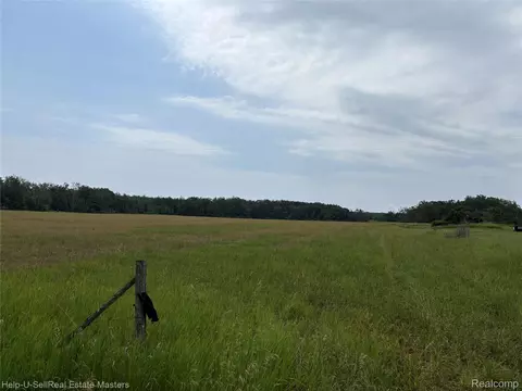 9999 W Hubert Rd, Caledonia, MI 49747