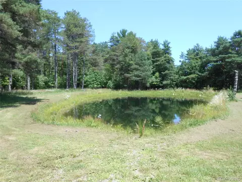000 Snover Rd, Forester, MI 48469