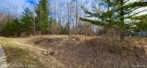 187 Greensboro Way, Butman, MI 48624