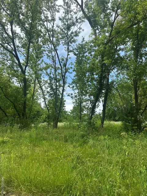 Vl Lakeview Park Drive, Fenton, MI 48430