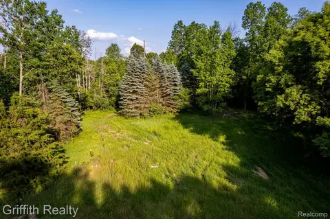 4433 Brighton Parcel C Rd, Genoa, MI 48843