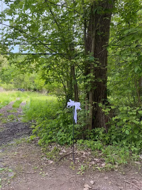 00000 Lotzford Rd, Canton, MI 48187