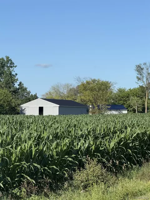 8109 Wilcox Rd, Brown City, MI 48416