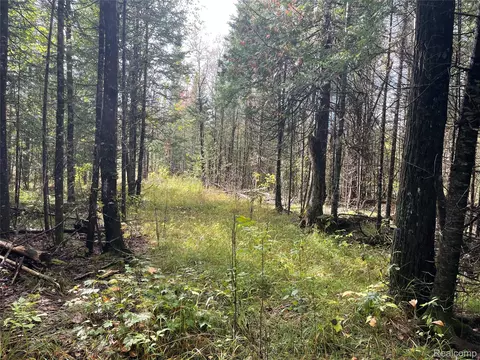 0 M-28, Newberry, MI 49868