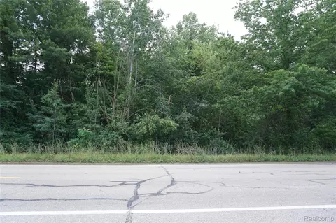 Vacant Willow Road, Sumpter, MI 48164