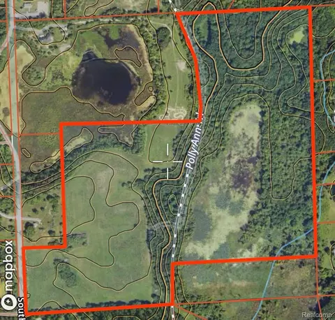 Vl S Mill Road, Dryden, MI 48428