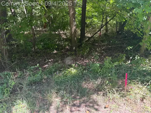 00 Baldwin Rd, Metamora, MI 48455