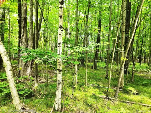 000 Red Fox Run, Clare, MI 48622
