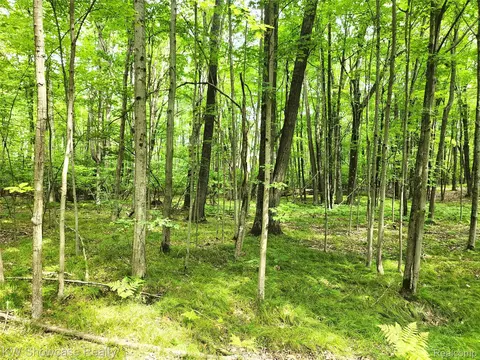 000 Red Fox Run, Lincoln, MI 48622