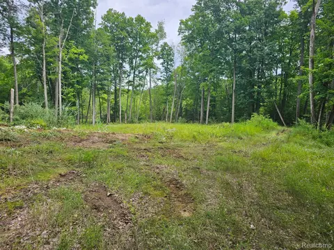 8600 Eagle Rd, Rose, MI 48350 photo 2