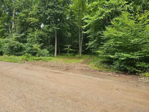 8600 Eagle Rd, Rose, MI 48350 photo 7