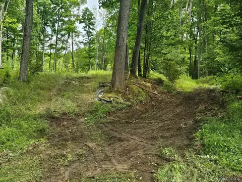 8600 Eagle Rd, Rose, MI 48350 photo 4