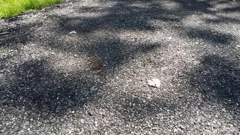 0 Ecorse Rd, Romulus, MI 48174 photo 6