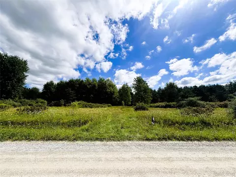 Vl Eagling Road, Riley, MI 48041