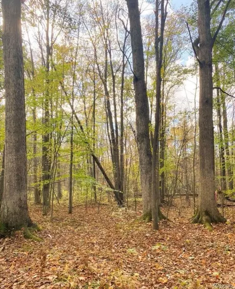 9473 E Broomfield Rd, Chippewa, MI 48858