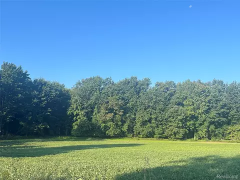 02 Howland Rd, Almont, MI 48003
