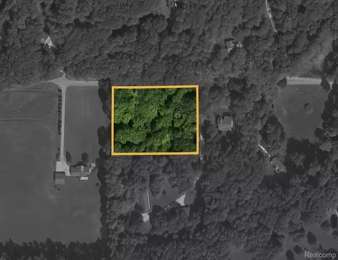 0 Cohoctah Rd, Deerfield, MI 48430
