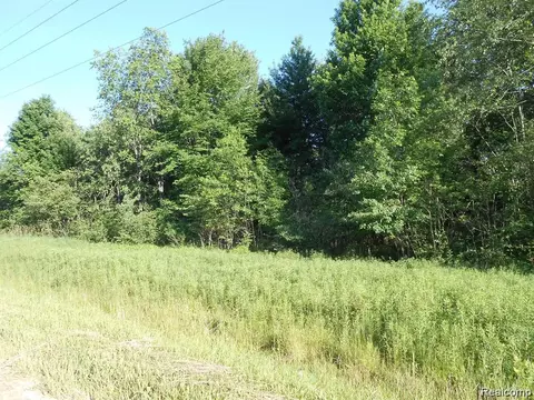 00 Washington, Sanilac, MI 48419