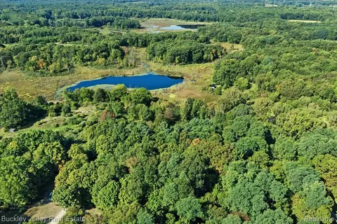 10101 Wiggins Rd, Deerfield, MI 48855