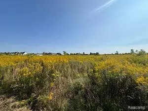 13075 Seymour Rd, Argentine, MI 48436