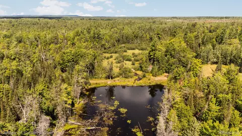3265 Roost Rd, Onaway, MI 49765