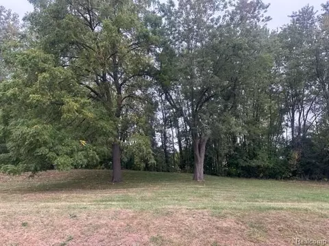 lot A Chapin St, Grand Blanc, MI 48507