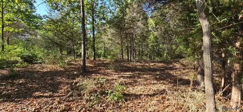 0 Hinchey Rd, Putnam, MI 48169