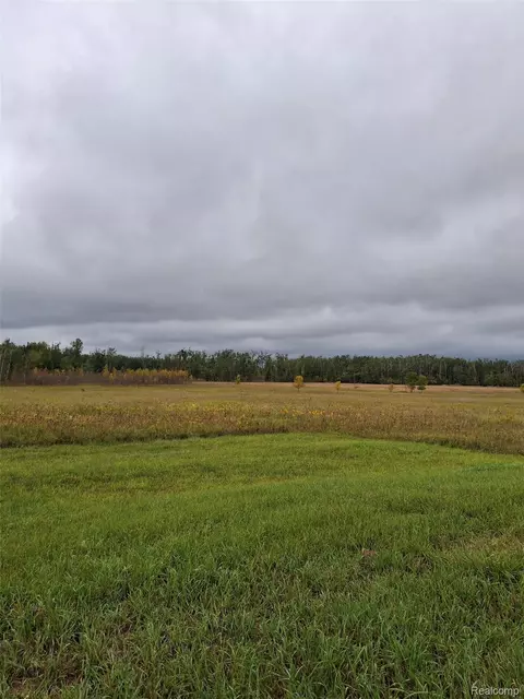 8596 Ross Rd, Cheboygan, MI 49721