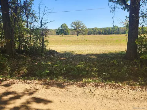 Vacant Land Skelton Road, Deerfield, MI 48421