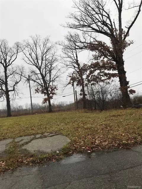 19446 Troy Pl Pl, Highland Park, MI 48203