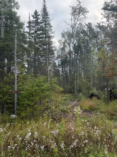 9191 M 33, Avery, MI 49709