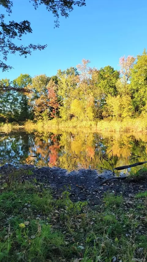 0 Rochester Rd, Dryden, MI 48428